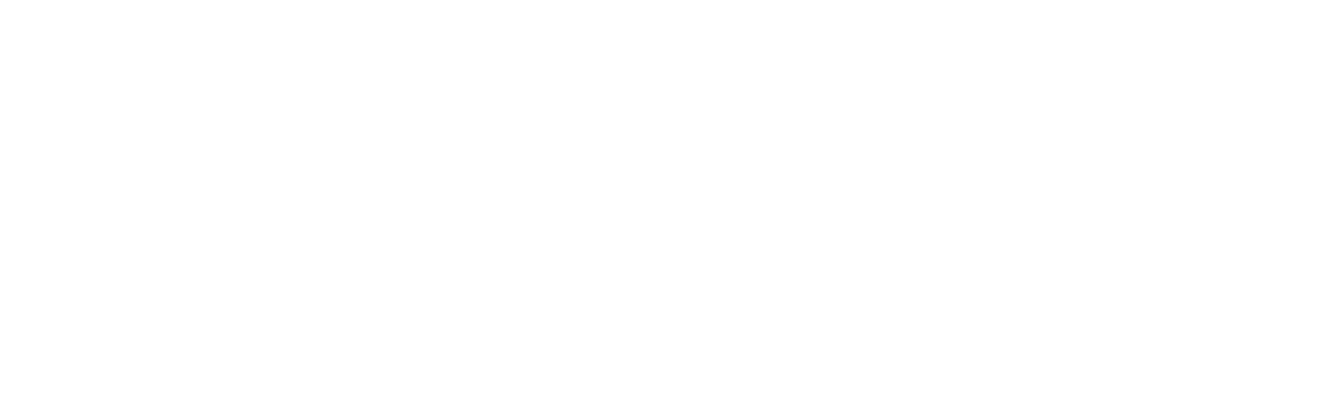 Palusa